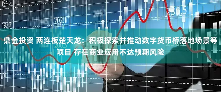 鼎金投资 两连板楚天龙：积极探索并推动数字货币桥落地场景等项目 存在商业应用不达预期风险