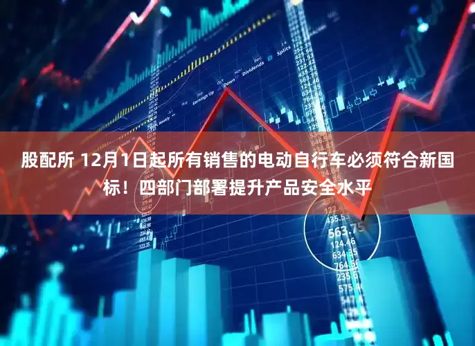 股配所 12月1日起所有销售的电动自行车必须符合新国标！四部门部署提升产品安全水平