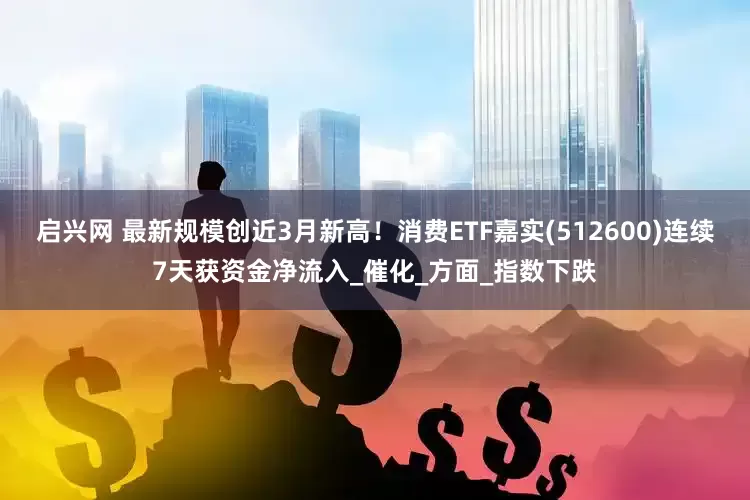 启兴网 最新规模创近3月新高！消费ETF嘉实(512600)连续7天获资金净流入_催化_方面_指数下跌