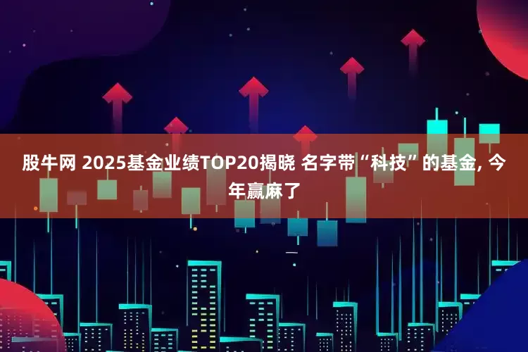 股牛网 2025基金业绩TOP20揭晓 名字带“科技”的基金, 今年赢麻了